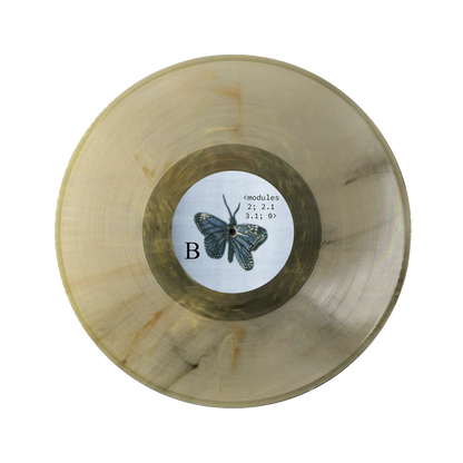 Personal Protocol LTD Colour Vinyl - SIGNED